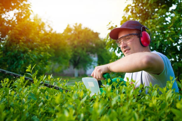 Empresa de jardinagem e paisagismo