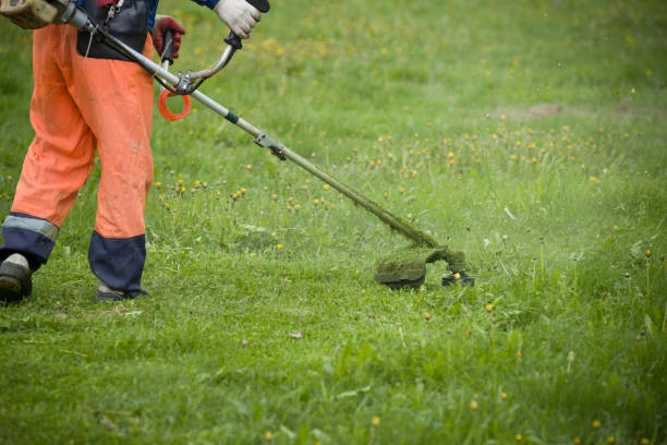 Empresa terceirizada de jardinagem