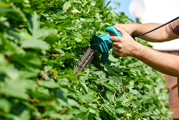 Serviço de mão de obra terceirizada
